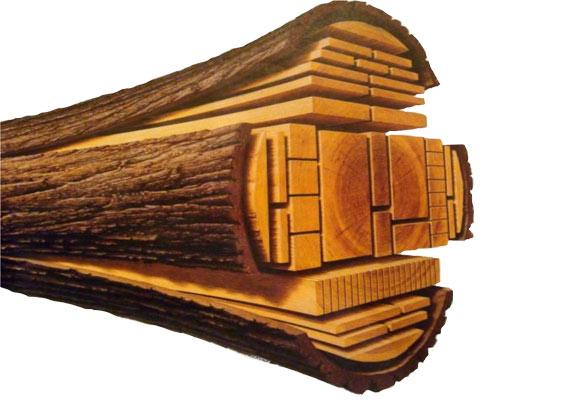 Rodzaj drewna, co to jest